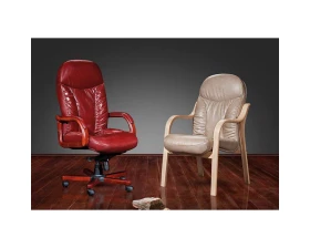 Кресло руководителя Ренуар DB-800 подлокотник SF-1 images