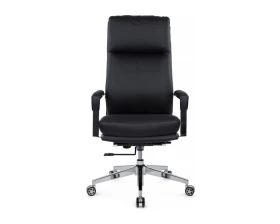 Кресло RV ЧЕЙР Леон / Leon (A916-1 / A916-1C) images